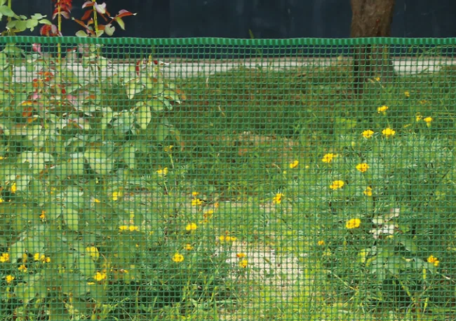 Home & Garden Plastic Mesh